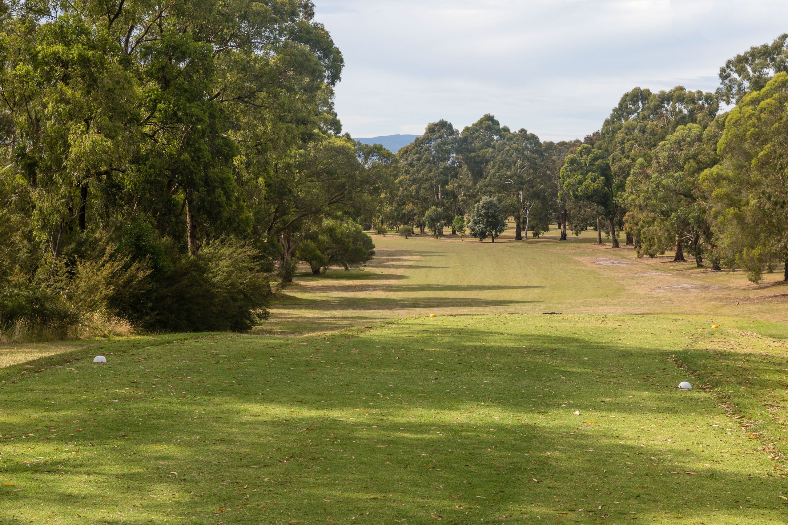 June 21 New Local Rules Morwell Golf Club